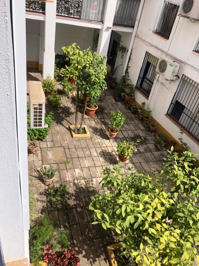 Apartamento Plaza Santa Lucia Renovado Febrero 2025 Sevilla Eksteriør bilde